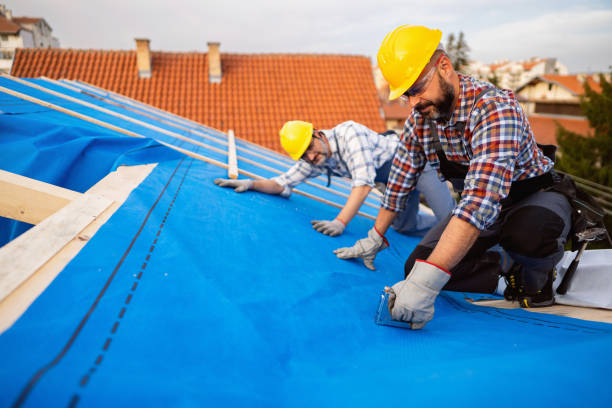 Best Storm Damage Roof Repair  in Tennessee Ridge, TN